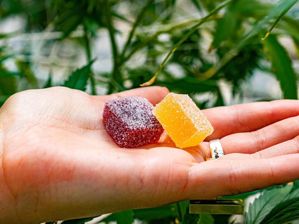 Why delta 9? Exploring the unique appeal of gummies