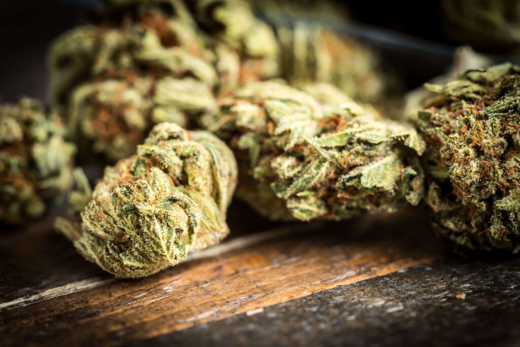 Delta 8 Flower: Exploring Its Therapeutic Potential