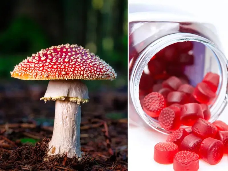 Visit ExhaleWell.com for Mushroom Gummies